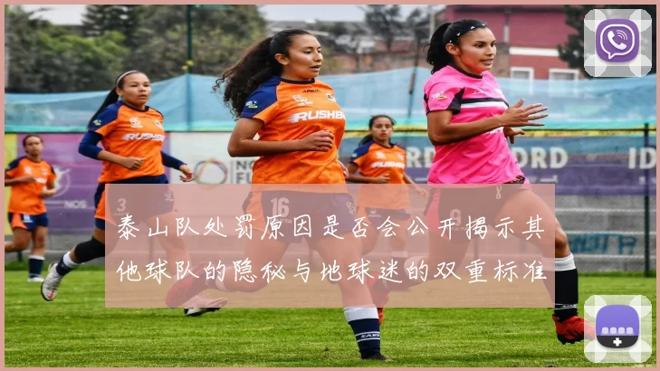 泰山队处罚原因是否会公开揭示其他球队的隐秘与地球迷的双重标准