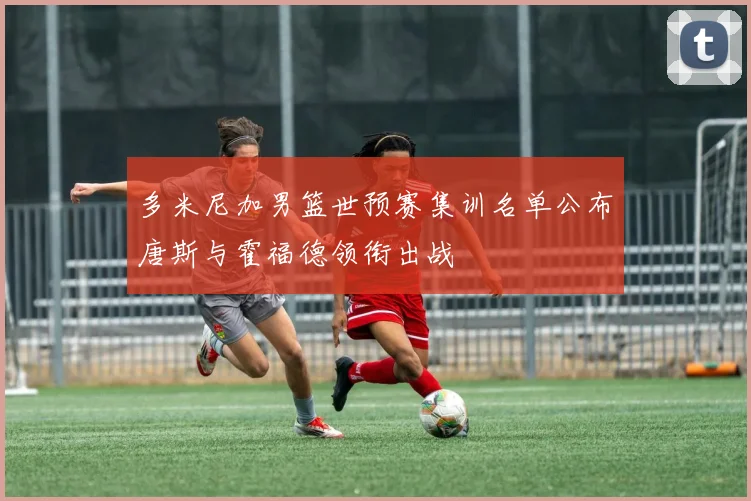 多米尼加男篮世预赛集训名单公布唐斯与霍福德领衔出战